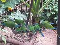 IMG_1488
