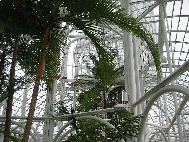 IMG_0396.JPG - Brasilien Parana CuritibaJardim Botanico