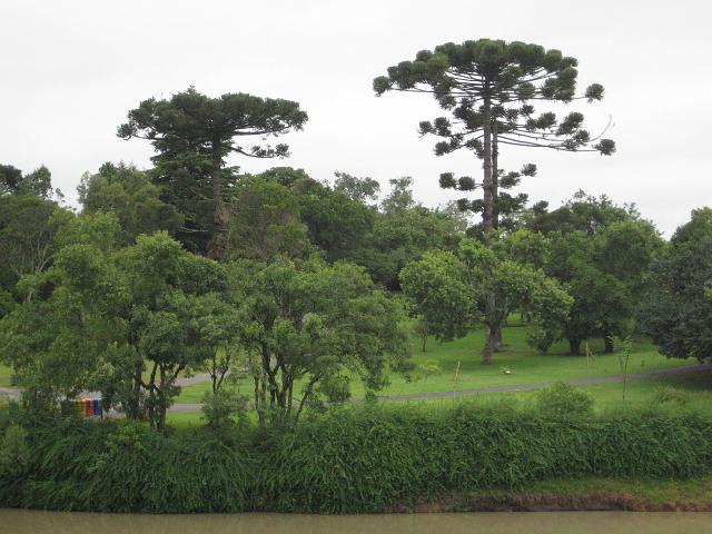 IMG_0415.JPG - Brasilien Parana CuritibaJardim Botanico