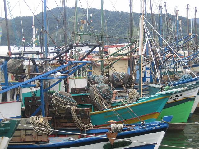 IMG_5067.JPG - BrasilienParaty