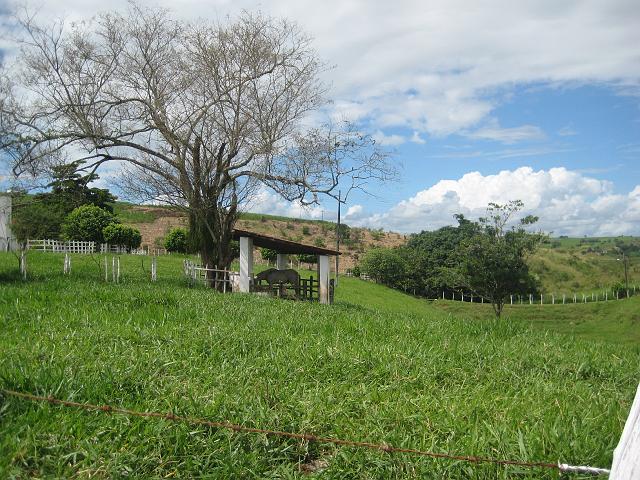 IMG_2923.JPG - Brasilien PernambucoEngenho Cueirinha