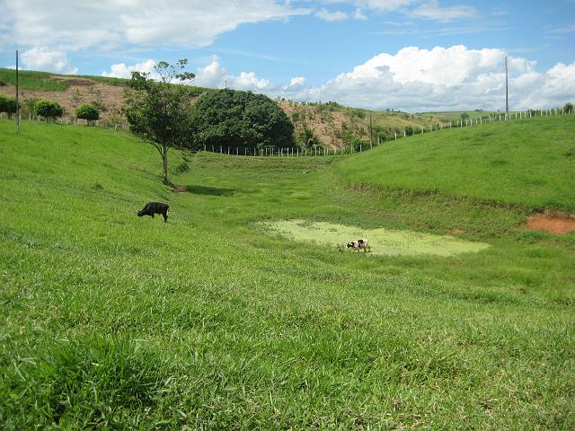 IMG_2925.JPG - Brasilien PernambucoEngenho Cueirinha
