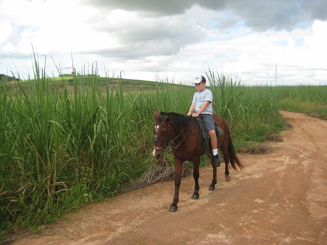 IMG_2978.JPG - Brasilien PernambucoEngenho Cueirinha