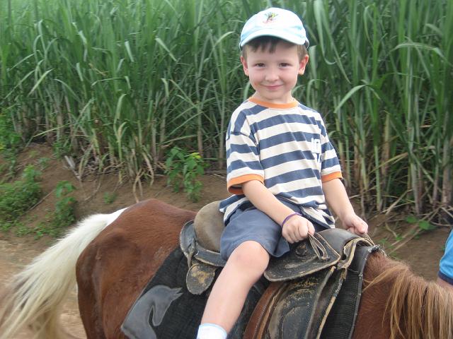 IMG_2983.JPG - Brasilien PernambucoEngenho Cueirinha