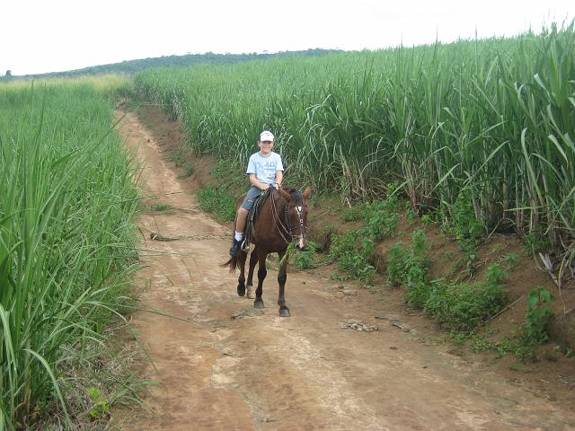 IMG_2984.JPG - Brasilien PernambucoEngenho Cueirinha