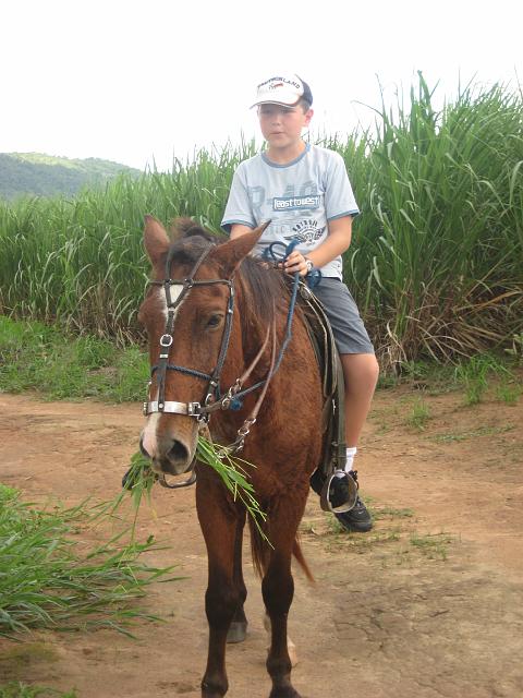 IMG_2987.JPG - Brasilien PernambucoEngenho Cueirinha