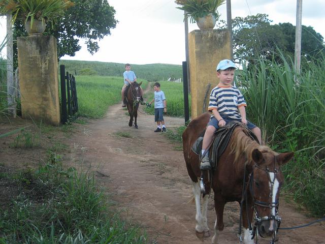 IMG_2992.JPG - Brasilien PernambucoEngenho Cueirinha