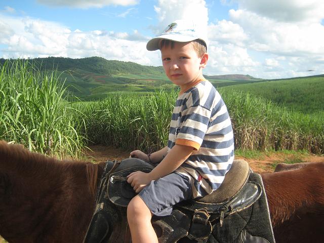 IMG_2999.JPG - Brasilien PernambucoEngenho Cueirinha