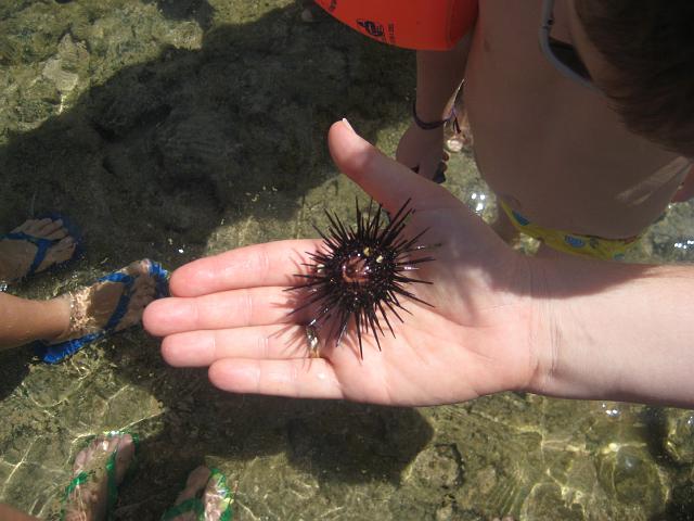 IMG_2690.JPG - Brasilien PernambucoPorto de Galinhas