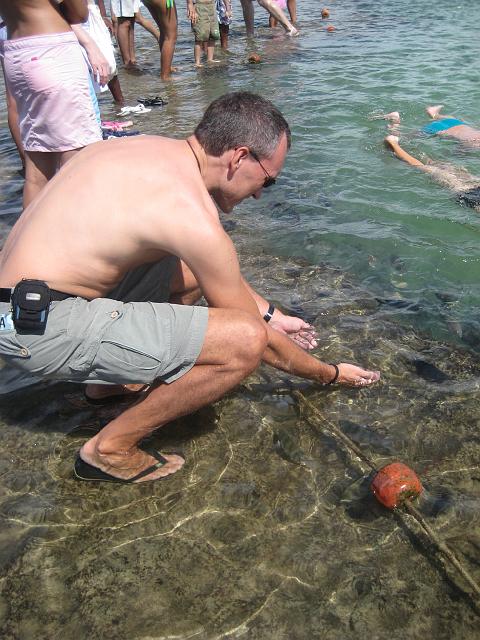 IMG_2708.JPG - Brasilien PernambucoPorto de Galinhas