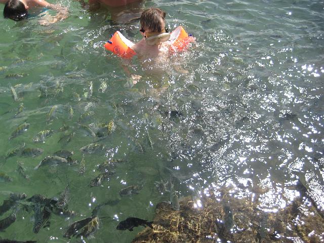 IMG_2718.JPG - Brasilien PernambucoPorto de Galinhas