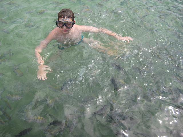 IMG_2728.JPG - Brasilien PernambucoPorto de Galinhas