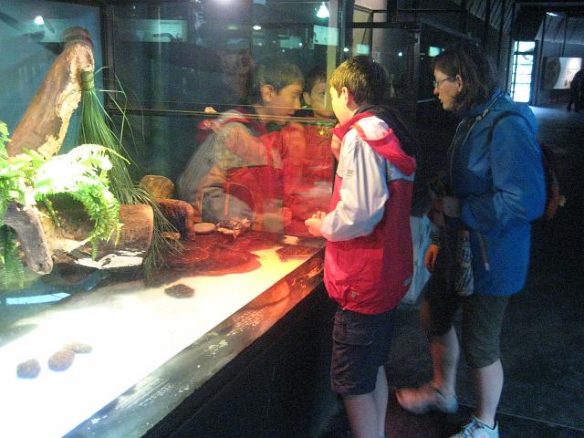 IMG_4104.JPG - Argentinien Buenos AiresZoo