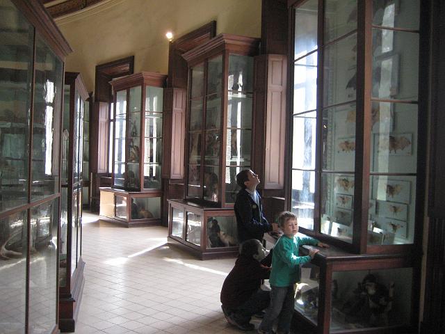 IMG_4332.JPG - Argentinien La PlataMuseo de Ciencias Naturales