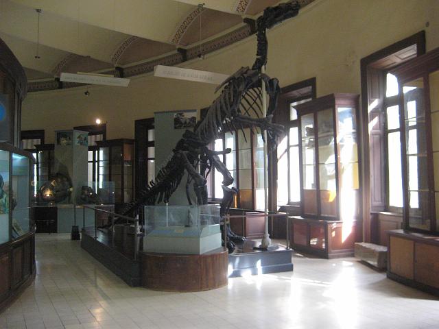 IMG_4333.JPG - Argentinien La PlataMuseo de Ciencias Naturales