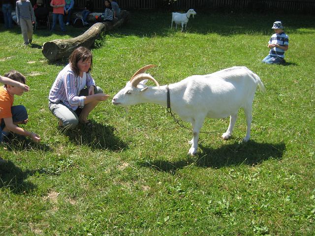 IMG_3455.JPG - DetmoldFreilichtmuseum