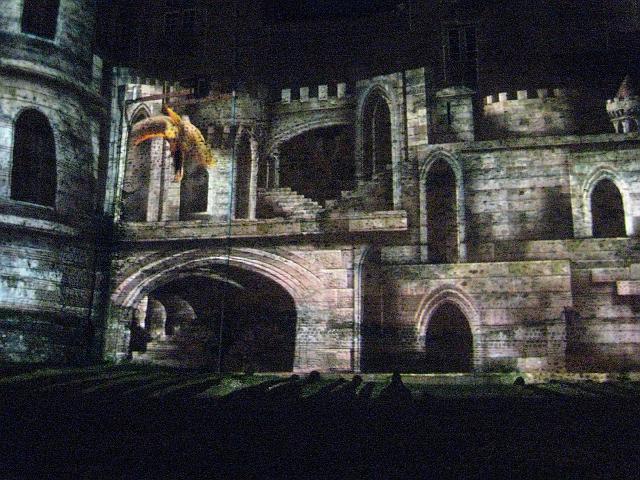 IMG_3347.JPG - Frankreich Le MansLa Nuit des Chimères