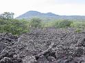 023_rangitoto_lavafeld