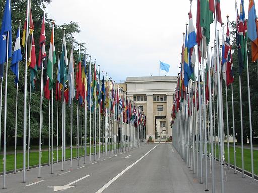 01_UN.JPG