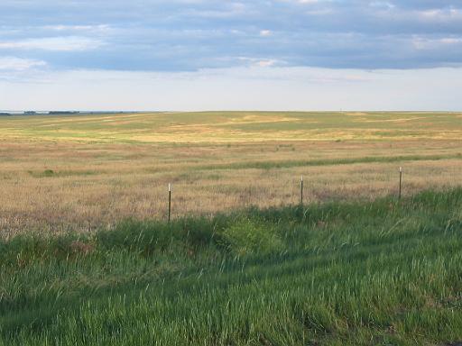 02_Prairie.jpg