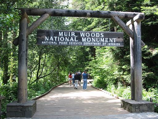54_Muir_Woods.JPG