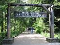54_Muir_Woods